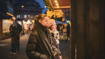 Steinamrhein maerlistadt dezember winter (45)