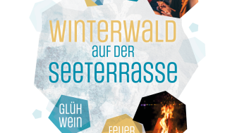 Winterwald auf der Seeterrasse