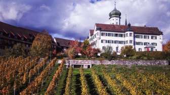 Tag des offenen Weinkellers