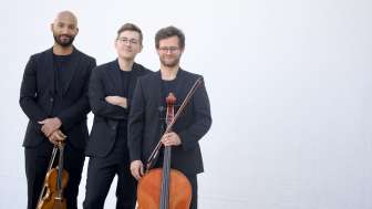 steiner trio basel