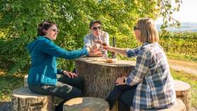 2024, Thurgau, Schweiz Tourismus, Schaffhausen