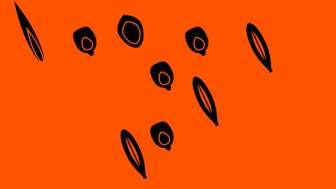 Gartenforum Rückschnitt