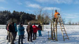 251206 Obstbäume richtig schneiden Fotostudio Bühler
