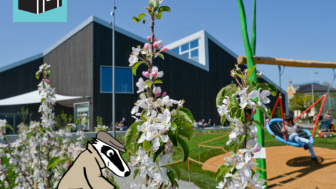 Detektiv-Trail Arbon mit Detektiv Dachs - Im Apfelparadies