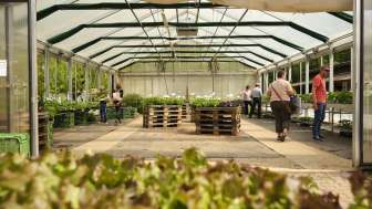 Setzlingsmarkt2023 0058