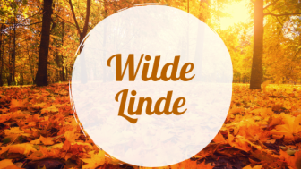 Wilde Linde Wilde Linde