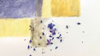 Mädesüss trifft Teufelskralle