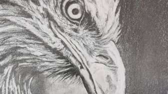 Zeichnen lernen - Schritt für Schritt