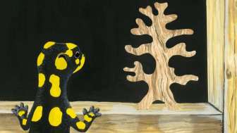 Annina Arter: The Salamander Room