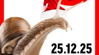 251225 fh christmas schnäggä story