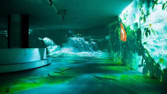 Rhyality Immersive Art Hall