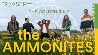 The Ammonites