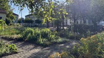 Vom Gartenbeet aufs Zvieribrot