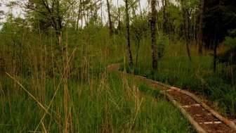 Naturschutzgebiet Hudelmoos