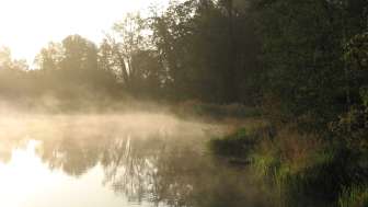 Herbstführung um die Lengwiler Weiher Herbstführung um die Lengwiler Weiher