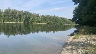 Rheinhölzle