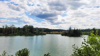 Faszination Nussbaumersee: Mit dem Ranger unterwegs
