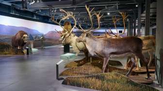 2025 12 11 Eiszeit Ueberblick