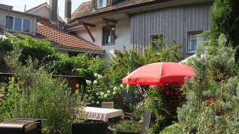 Höfe, Brunnen und Gärten im Stadtzentrum Höfe, Brunnen und Gärten im Stadtzentrum