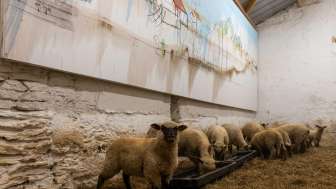 Michael Huard Fabrice Hyber, La Serrie, biografische Landschaft meiner Eltern,  2022