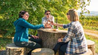 Kunst & Wein am Iselisberg