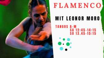 Flamenco Workshop Flamenco Workshop