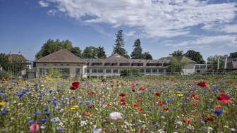 Arenenberger Gartenwelt Arenenberger Gartenwelt