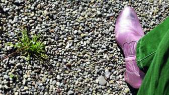 Sonderausstellung «Kleiner Kiesel ganz gross»