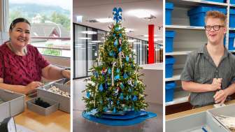 Der soziale Weihnachtsbaum