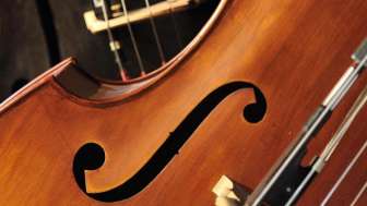 Forum Streicher - Musikschule Weinfelden