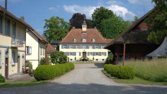  DSC5534