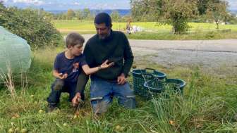 Der Feldhof in Scherzingen - wo wachsen Gemüse und Früchte?