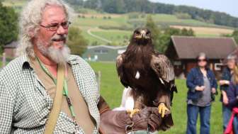 Naturena: Faszination Greifvögel