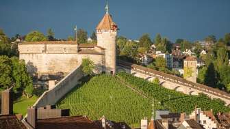 Munot Ansicht © Bruno Sternegg