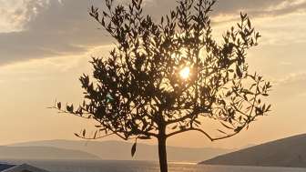 Trauercafé Weinfelden