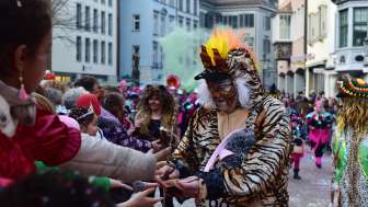 SH Fasnacht Umzug Winter