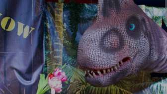 Screenshot 20230802 111846 Gallery