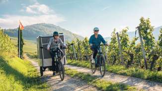 2024, Thurgau, Schweiz Tourismus, Schaffhausen