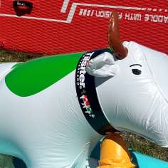 am Wasser, Event, PADL Bodensee, Stand up Paddle, SUP