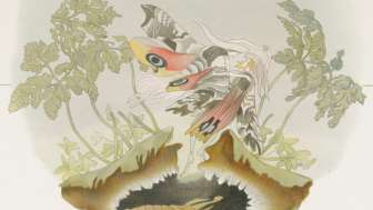 Wie wir weiterleben. Vorstellungen vom Danach