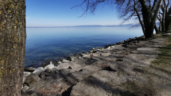 Schütti Seeparksaal Arbon
