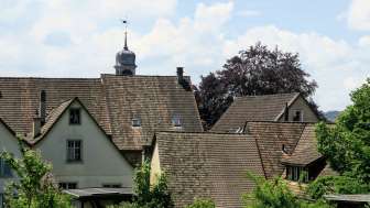 Hubgasse 2021 06 03 Gärten (1)