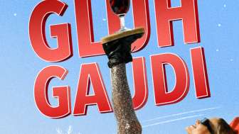 251108 fh wizi glühgaudi post1