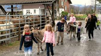 Erlebnisbauernhof Steigmatt