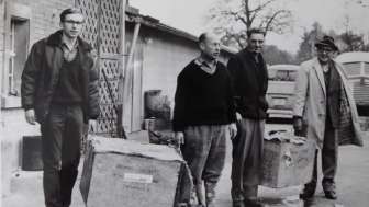 Bäume fällen, Dämme bauen, Burgen graben: 60 Jahre Biber im Thurgau