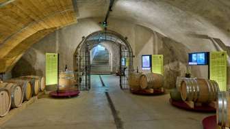 Sonderausstellung: 2000 Jahre Wein auf Arenenberg