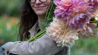 «Slowflower Sunday»