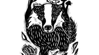 Sonderausstellung ‹Wow … ein Dachs!›