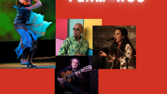 Flamenco-Konzert Flamenco-Konzert