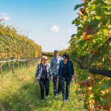 2024, Thurgau, Schweiz Tourismus, Schaffhausen